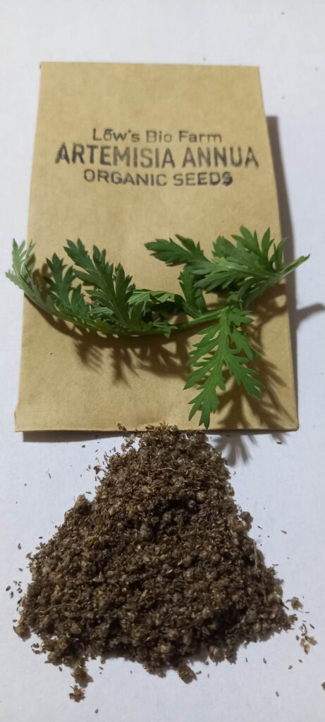 Kraft packet of organic Artemisia annua seeds